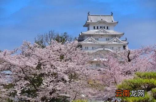 日本旅游线路 日本自由行有哪些景点推荐？