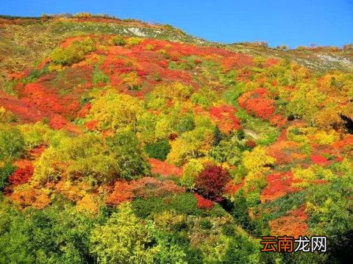 日本旅游线路 日本自由行有哪些景点推荐？