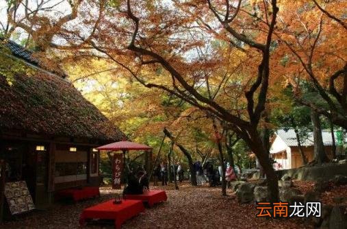日本旅游线路 日本自由行有哪些景点推荐？
