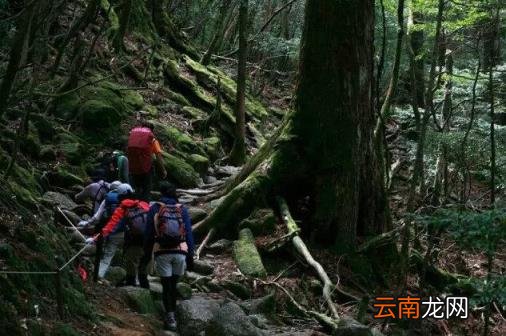 日本旅游线路 日本自由行有哪些景点推荐？