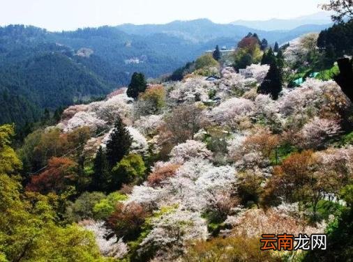 日本旅游线路 日本自由行有哪些景点推荐？