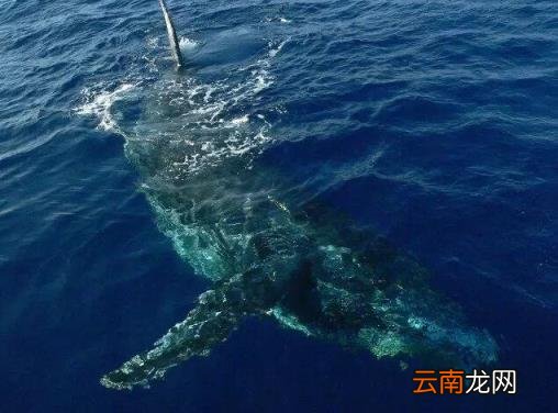 日本旅游线路 日本自由行有哪些景点推荐？