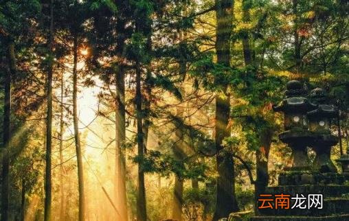 日本旅游线路 日本自由行有哪些景点推荐？