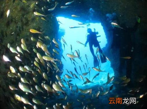 日本旅游线路 日本自由行有哪些景点推荐？