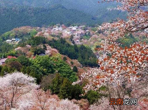 日本旅游线路 日本自由行有哪些景点推荐？