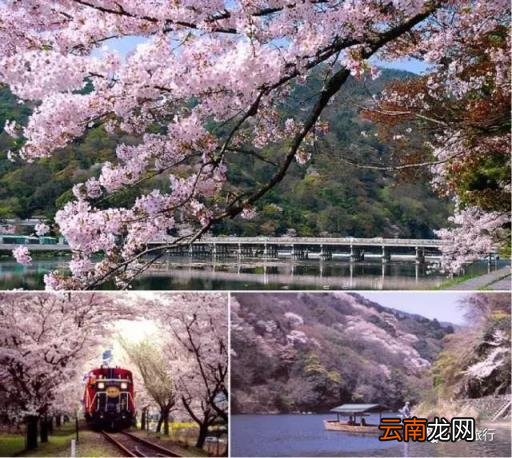 日本旅游线路 去日本旅行如何安排行程？