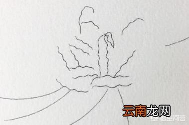 如何画出彼岸花(石蒜 哪吒简笔画？)