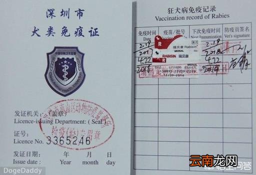 狗狗体内驱虫多久一次 怎样给狗狗驱虫,多久一次?