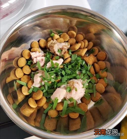 狗狗体内驱虫多久一次 怎样给狗狗驱虫,多久一次?