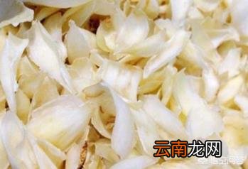 食用百合开什么样的花 我们吃的百合,会不会开花？
