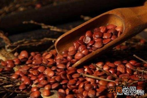 伏芩的副作用 茯苓酸枣仁茶有什么不良反应？