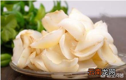 食用百合开什么样的花 如何分辩食用百合和药用百合？