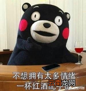 德国骨科的梗是什么 有哪些看过才懂的动漫内涵梗？
