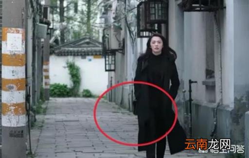 谢广坤是什么梗 《都挺好》都有哪些穿帮镜头？