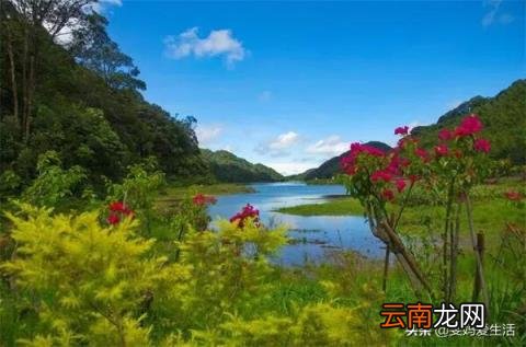 世界上没有垃圾只有放错地方的宝藏是谁说的 垃圾分类，最大的受益者会是谁？