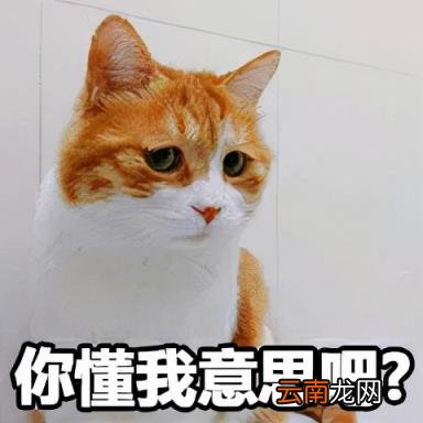 相互保分摊费用从哪里扣 第一批相互保扣费多少