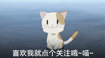 金毛狗多少钱一只 金毛狗价格