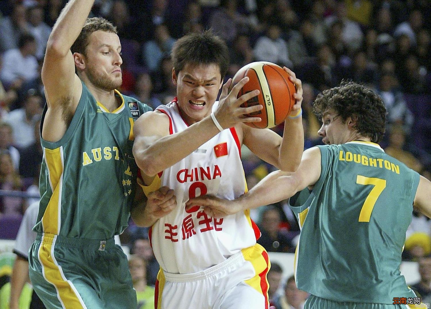 中国男篮巨星排名有哪些 中国篮坛50大杰出人物