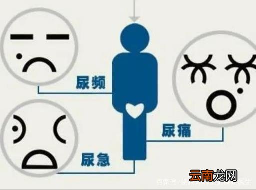 北京紫荆医院专业吗：尿路感染有哪些危害？