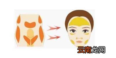 任学会面部脂肪填充怎么样？脂肪填充的原则是哪些？