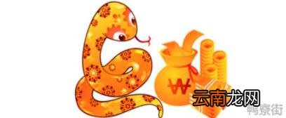 属蛇什么行业最赚钱 1989属蛇今年做生意