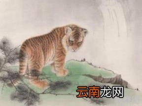 生肖虎几点出生最好 生肖虎哪时出生最好命