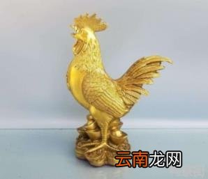 属兔最忌讳什么 生肖兔的三合贵人