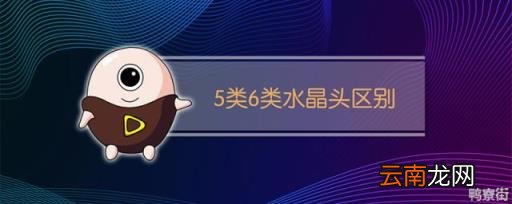 5类6类水晶头有什么不同 5类6类水晶头图片对比