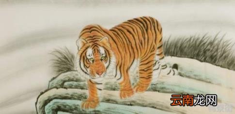 哪些生肖一生有福生肖猪 哪些生肖一生有福
