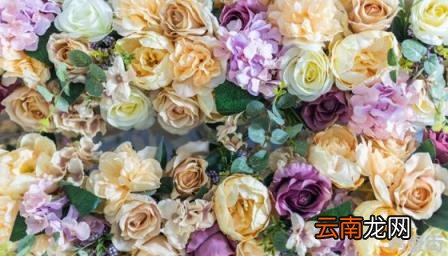 玫瑰花冬天在外面能过冬吗 玫瑰花怕冷还是怕热