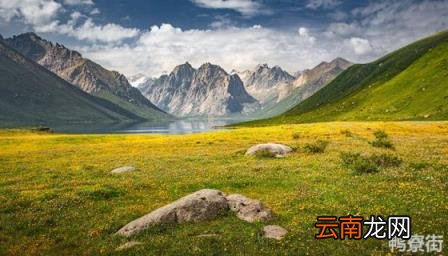 铃兰花 铃兰花语