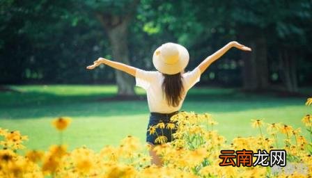 铃兰花 铃兰花语