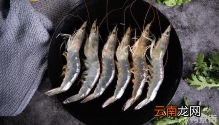 活的基围虾怎么做 基围虾怎么养活三天