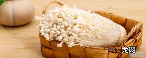 金针菇的栽培配方 金针菇培育需要氧气还是二氧化碳