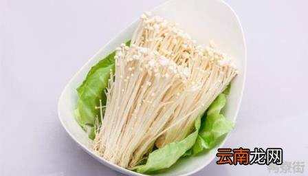 金针菇的栽培配方 金针菇培育需要氧气还是二氧化碳