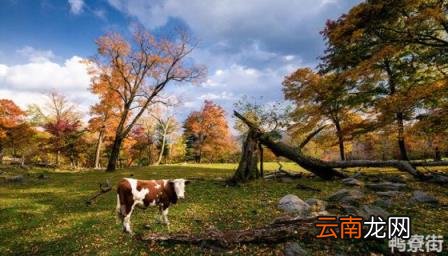现代农业园建设的意义有 现代农业园区建设的意义有哪些