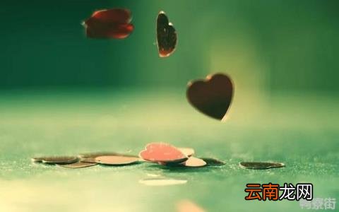 2022年属兔的微信昵称 2022年微信昵称网名有哪些