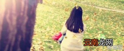 2022年属兔的微信昵称 2022年微信昵称网名有哪些