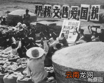农村高龄补贴标准 农村取消公粮是哪一年