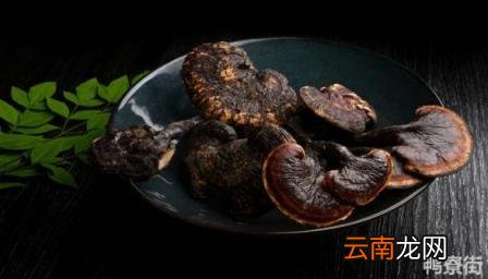 灵芝在家里的种植方法 灵芝种植方法及步骤