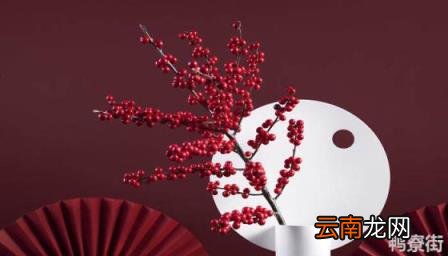 红果冬青花语寓意 红果冬青寓意