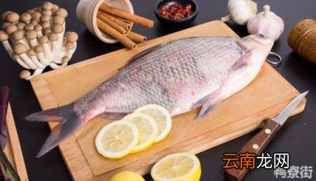 鱼在晚上需要休息吗 鱼是怎么交配的呢
