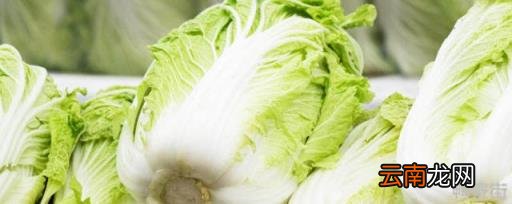 二月份适合种植什么花 一月份适合种植什么蔬菜