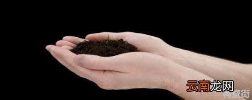 哪种肥料不属于有机肥料芭芭农场 哪种肥料不属于有机肥料