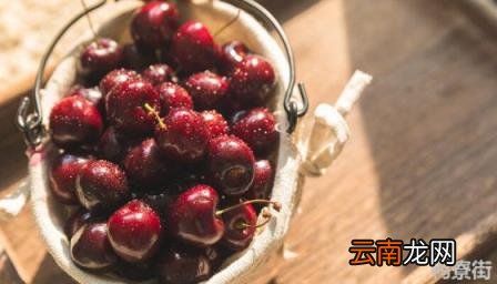 黑珍珠车厘子耐寒吗 黑珍珠车厘子是什么品种