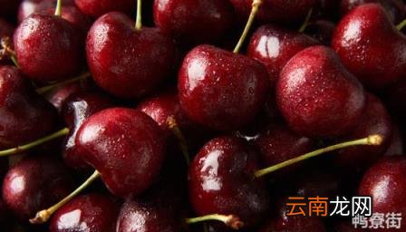 黑珍珠车厘子耐寒吗 黑珍珠车厘子是什么品种