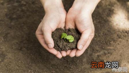土壤质地名词解释 土壤肥力的高低主要取决于