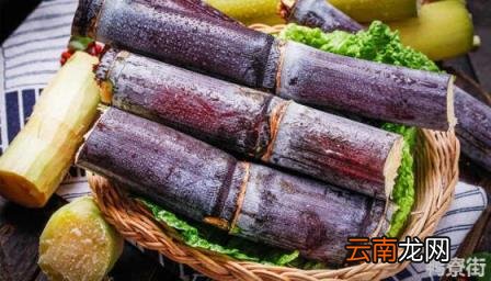 河南甘蔗的种植方法和时间 甘蔗的种植方法和时间