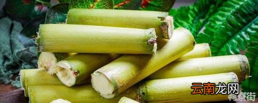 河南甘蔗的种植方法和时间 甘蔗的种植方法和时间