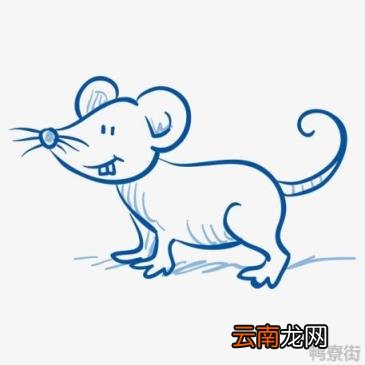 十二生肖中老鼠为什么排第一 生肖中老鼠为什么排第一
